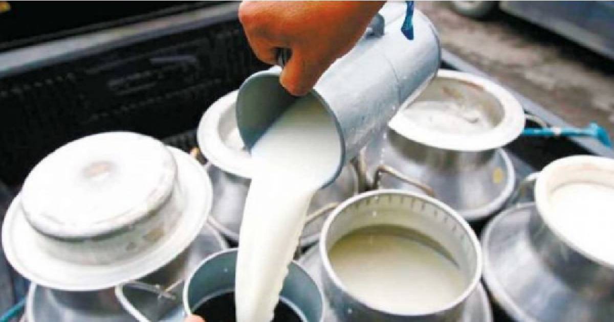 आज २३ औँ विश्व दूध दिवस विभिन्न कार्यक्रम गरी मनाइँदै