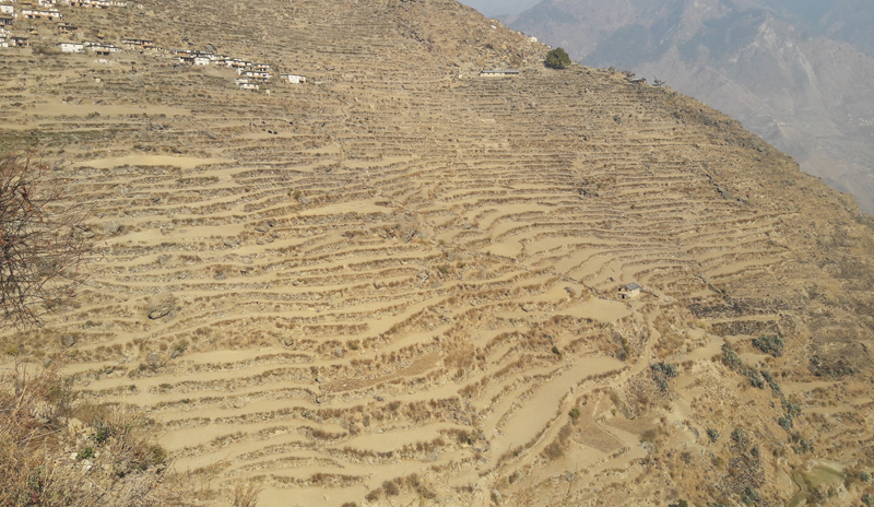 भारतीय आयातका कारण विस्थापित हुँदै नेपाली किसान