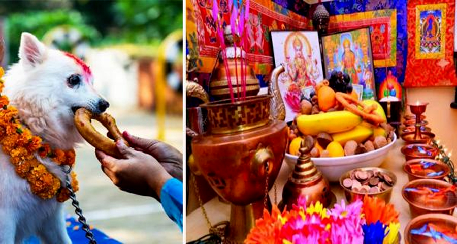 आज तिहारको तेस्रो दिन, कुकुर तिहार र लक्ष्मी पूजा एकैदिन