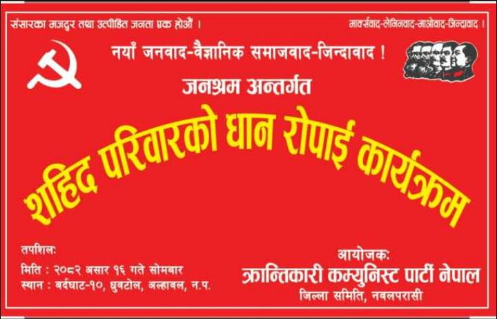 क्रान्तिकारी कम्युनिस्ट पार्टीले सहिद परिवारको धान रोपाई गर्दै