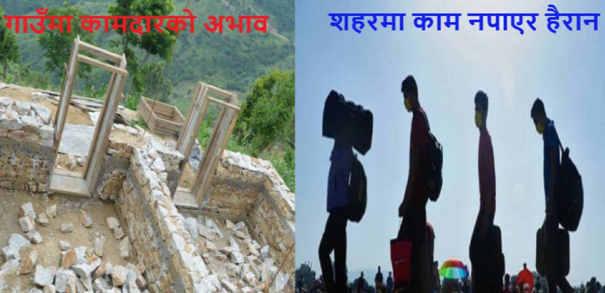 गाउँमा कामदारको अभाव, शहरमा काम नपाएर हैरान !