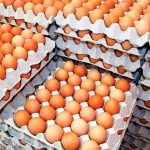 अण्डाको मूल्य क्रेटमा १५ रुपैयाँले बढ्यो