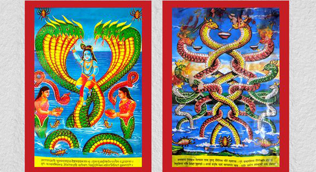 आज नागपञ्चमी : नागको पूजाआराधना गरी मनाइँदै