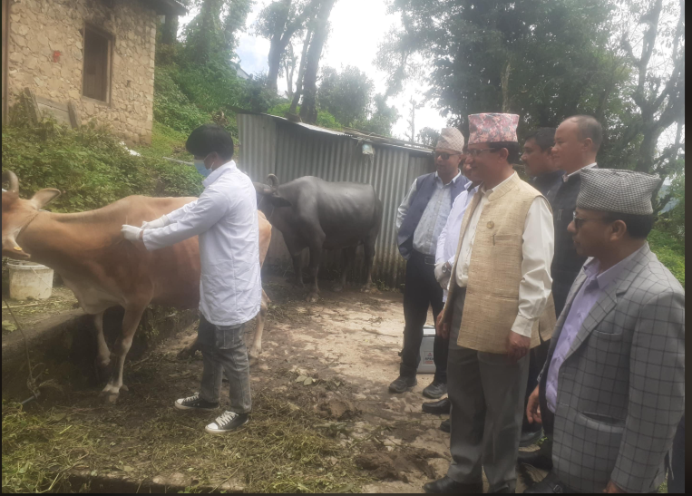 लम्पि रोग विरुद्धको सप्ताहव्यापी खोप अभियानको शुभारम्भ