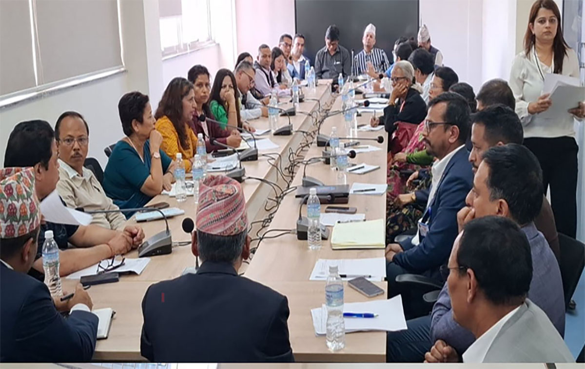सङ्घर्षरत नर्सको माग पूरा गराउन सातै प्रदेशमा कार्यदल गठन गर्ने निर्णय