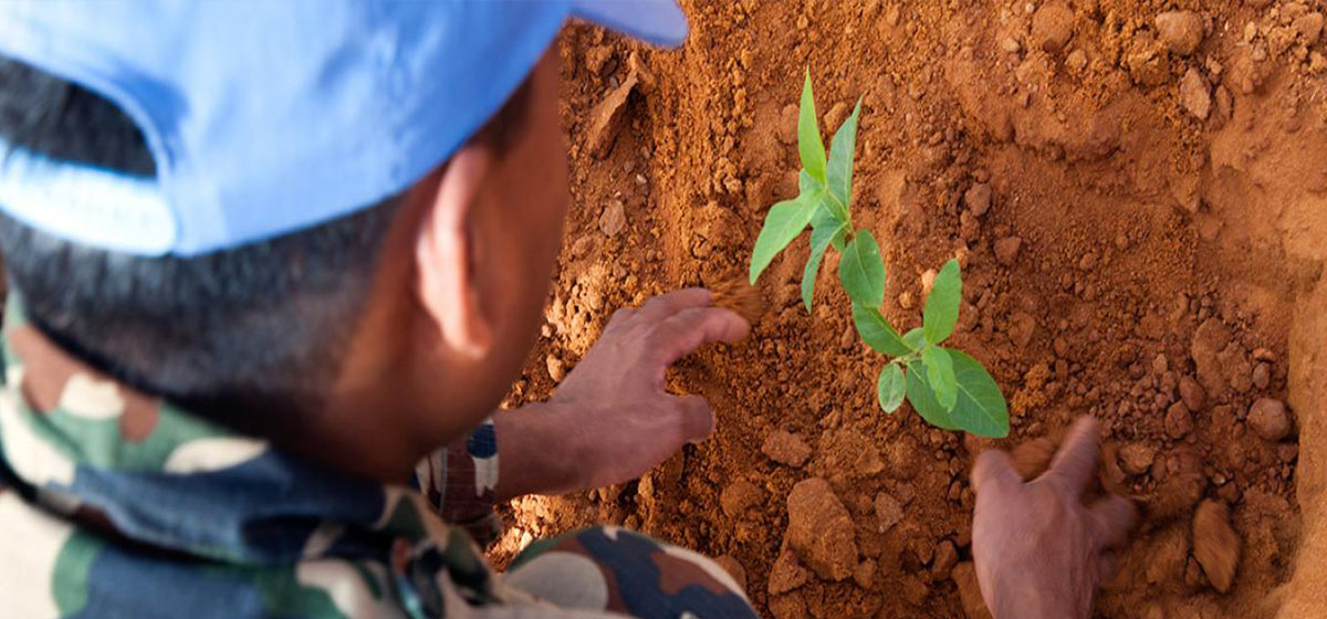 युद्ध र सशस्त्र द्वन्द्वमा वातावरणको दुरुपयोग रोक्ने अन्तरराष्ट्रिय दिवस आज मनाइँदै