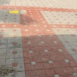 चितवन राष्ट्रिय निकुञ्जभित्रका सडकमा मोज्याक टायल लगाइने