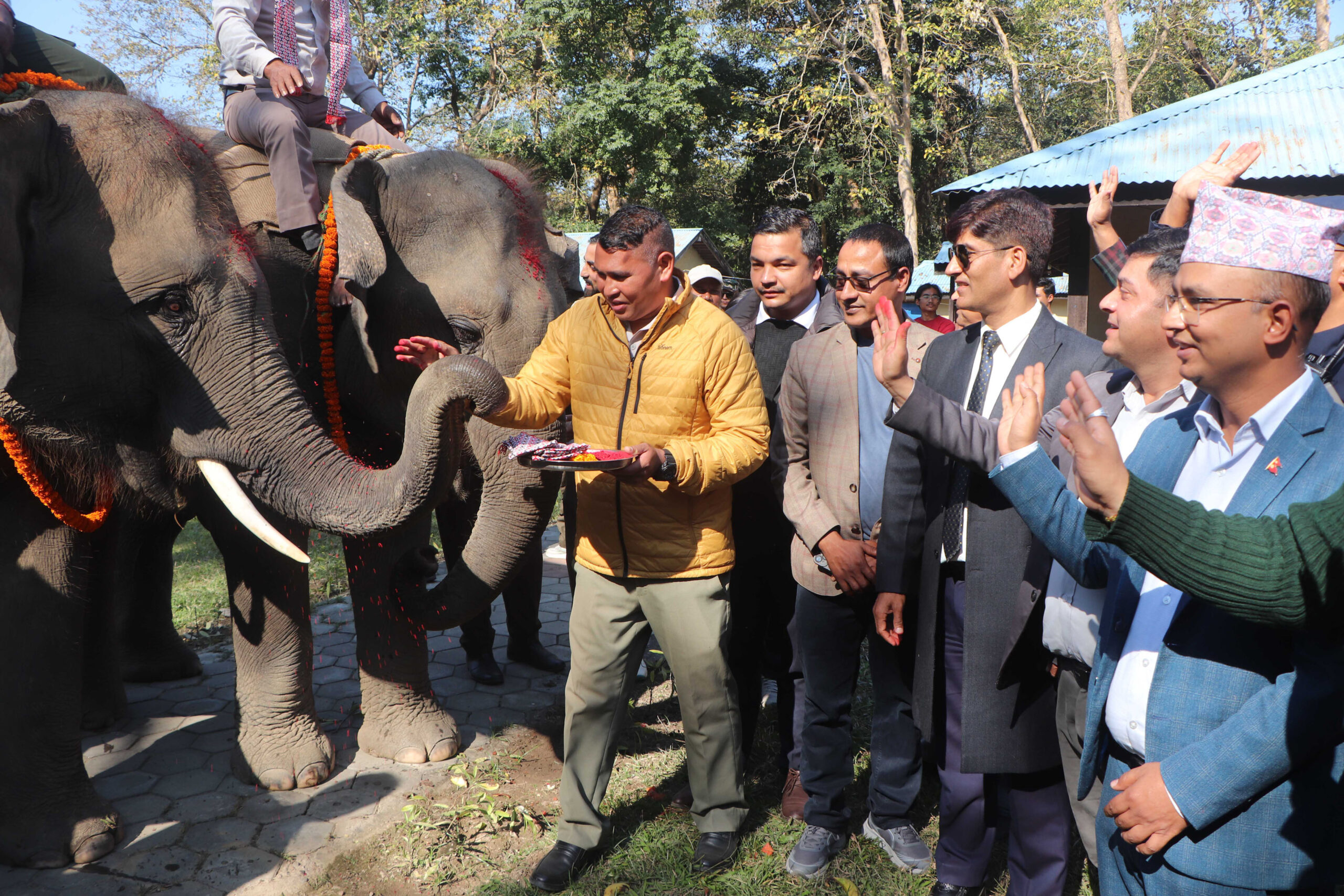 कतार लैजाने हात्तीको सौराहाबाट बिदाइ, भैरहवाबाट चार्टर्ड फ्लाइट मार्फत लगिने
