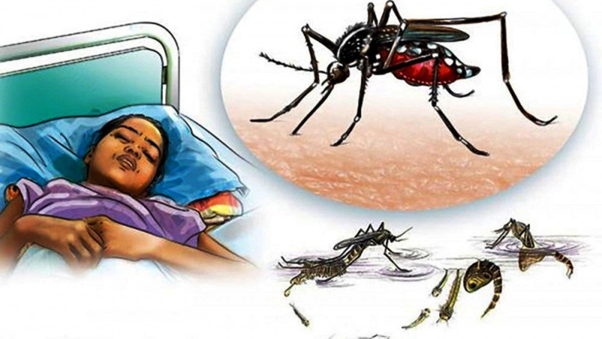 चितवनमा स्क्रब टाइफस र डेंगुका ५ जना बिरामी भेटिए