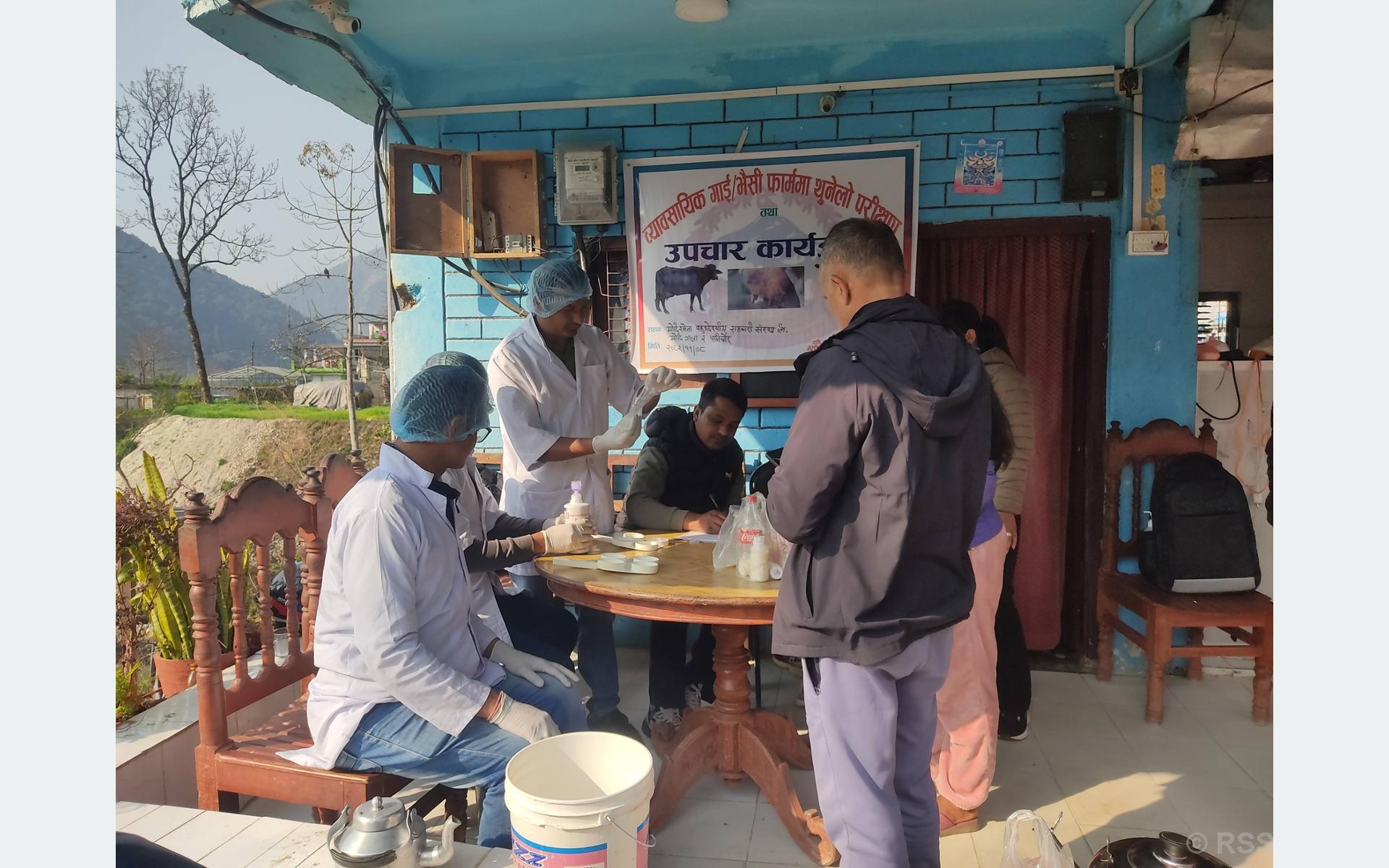 गाईभैँसीमा थुनेलो रोग परीक्षण