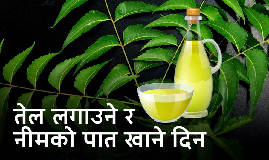तेल लगाउने र नीमको पात खाने दिन आज