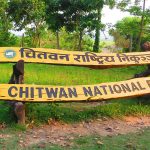 चितवन राष्ट्रिय निकुञ्जमा पर्यटक आगमन बढ्यो